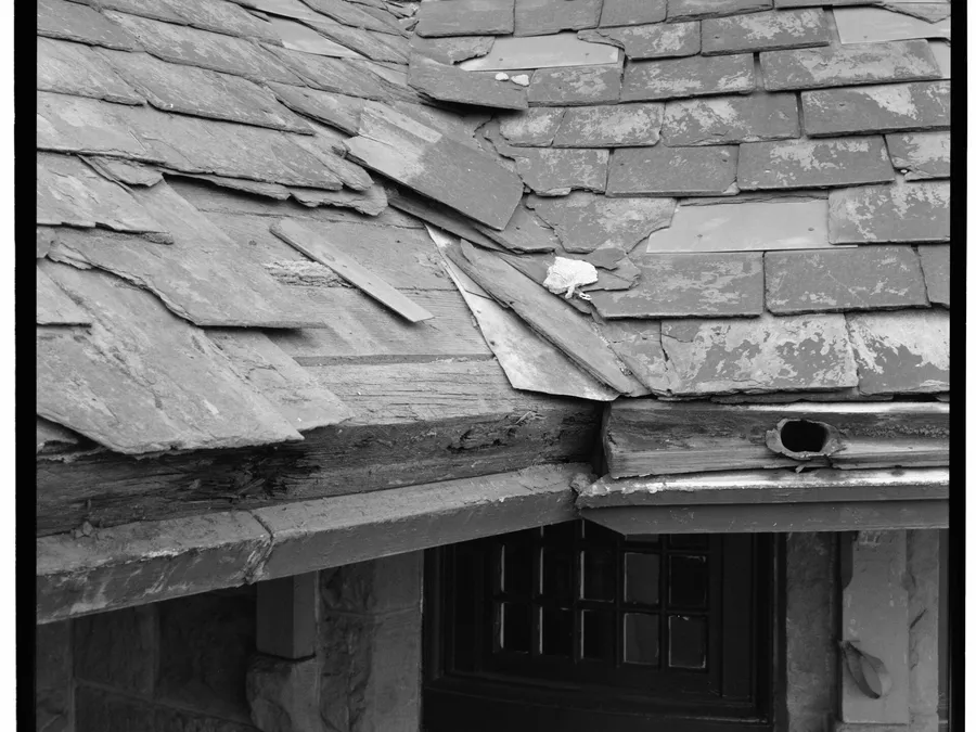 Roof, Gutter, Exterior & Window Cleaning — up close