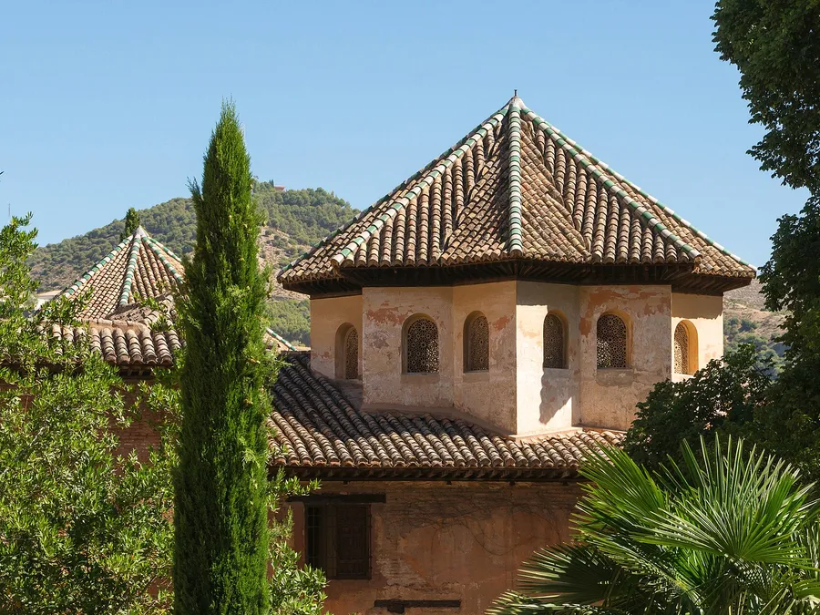 Roof, Gutter, Exterior & Window Cleaning — up close
